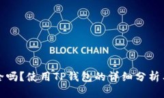 TP钱包安全吗？使用TP钱包的详细分析与用户指南