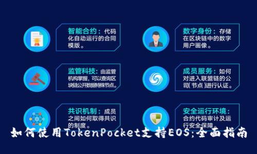 如何使用TokenPocket支持EOS：全面指南